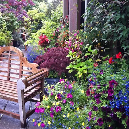 Dene House 招待所 4*